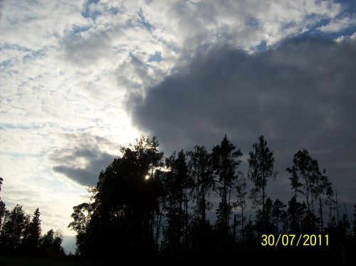 170.JPG