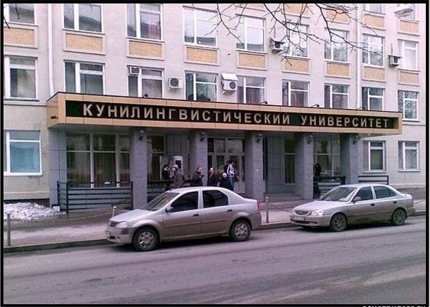 x_42348cff.jpg