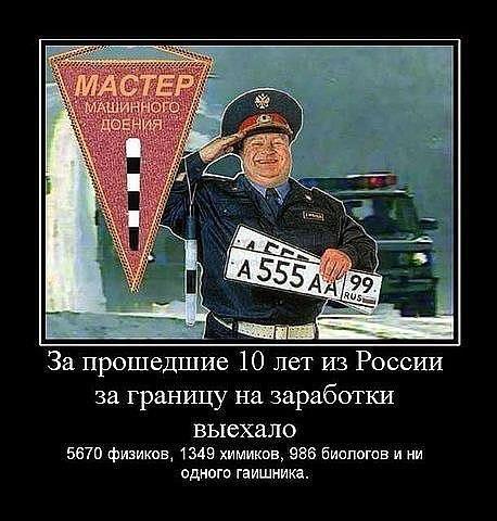 15279_900.jpg
