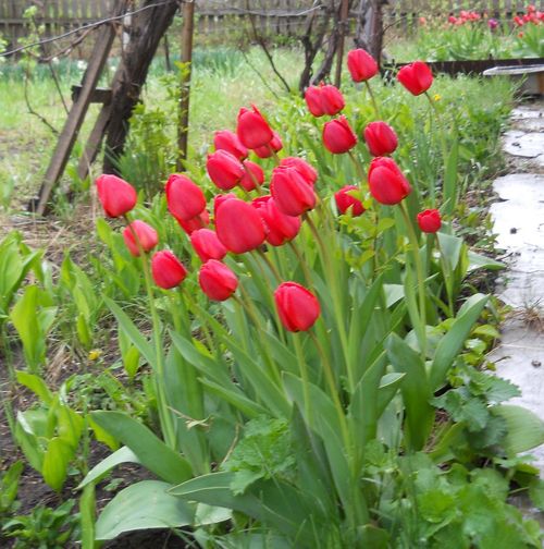 foto12 008_1.jpg