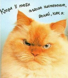настроение.jpeg
