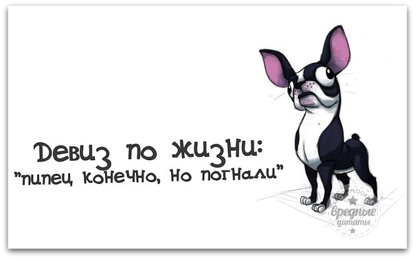 NTdiQodzna8.jpg
