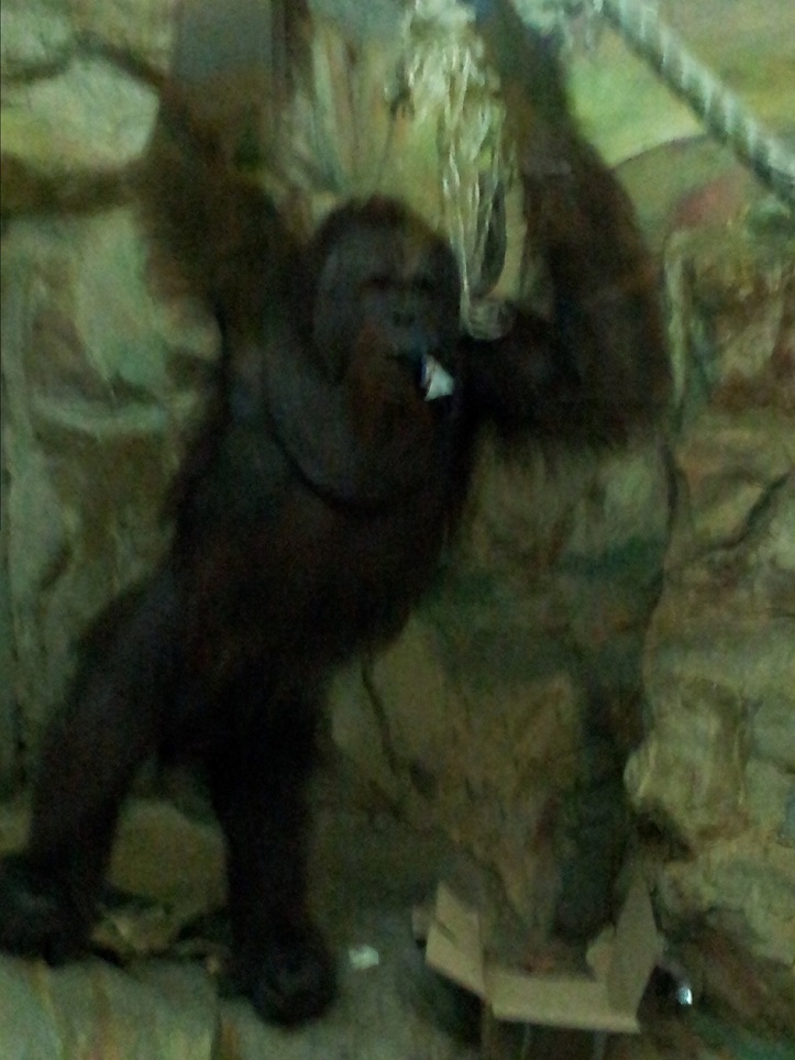 20130508_114142.jpg