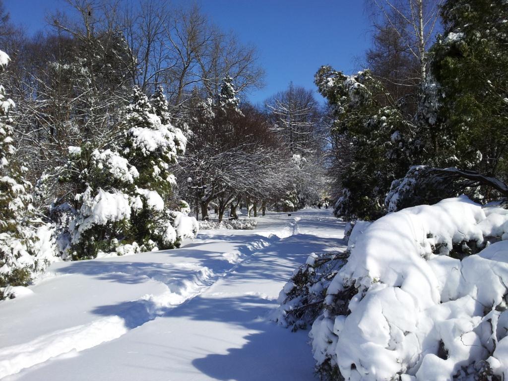 20130323_141300.jpg