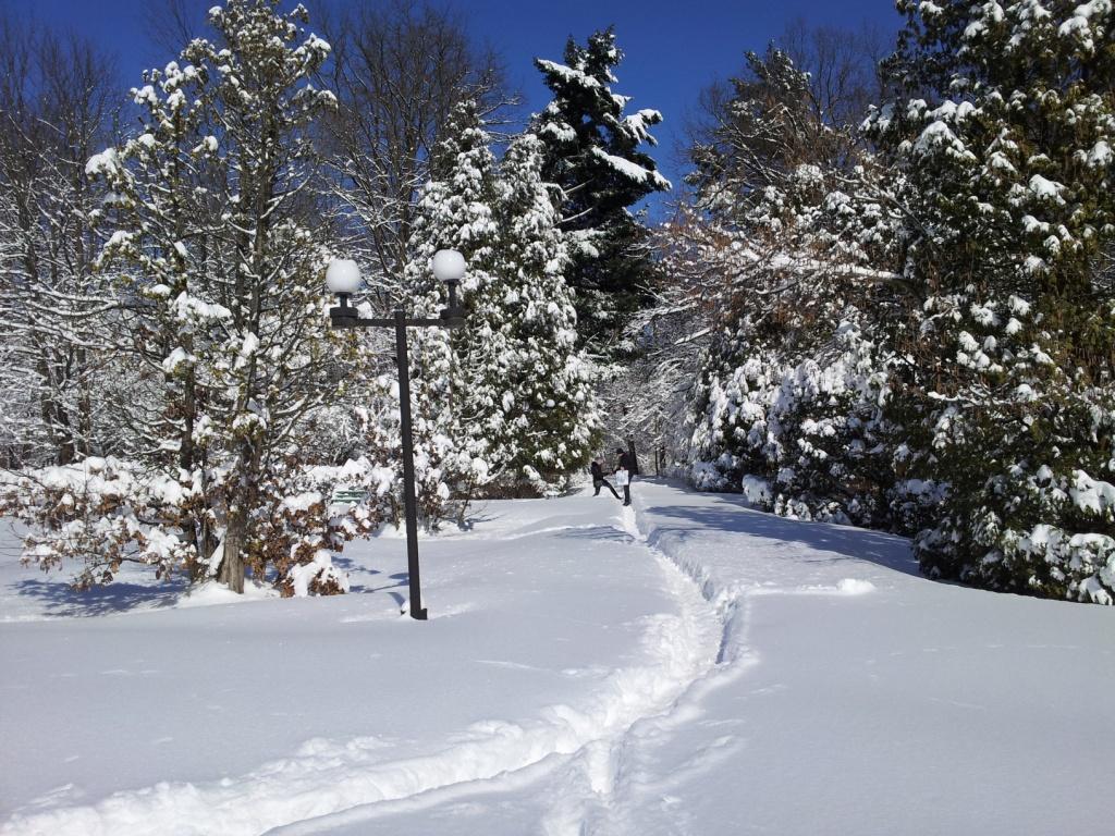 20130323_141456.jpg