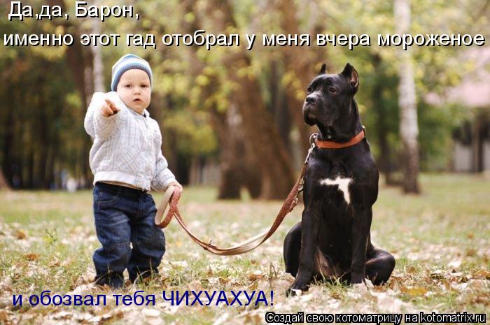 котоматрица-auto-19694.jpeg