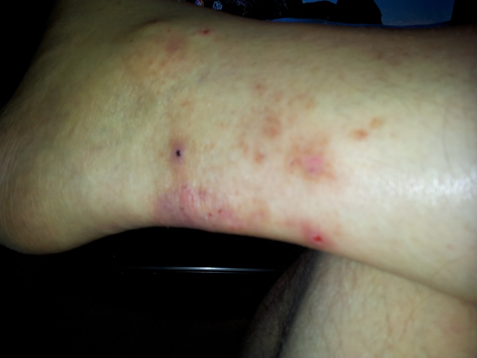 20130604_232829.jpg