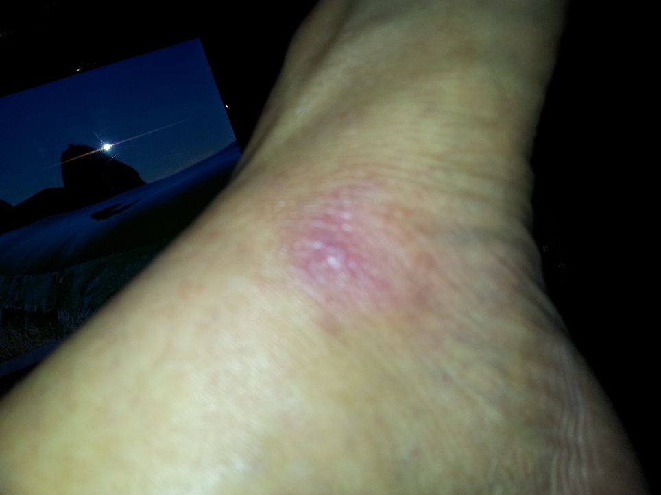 20130604_232846.jpg