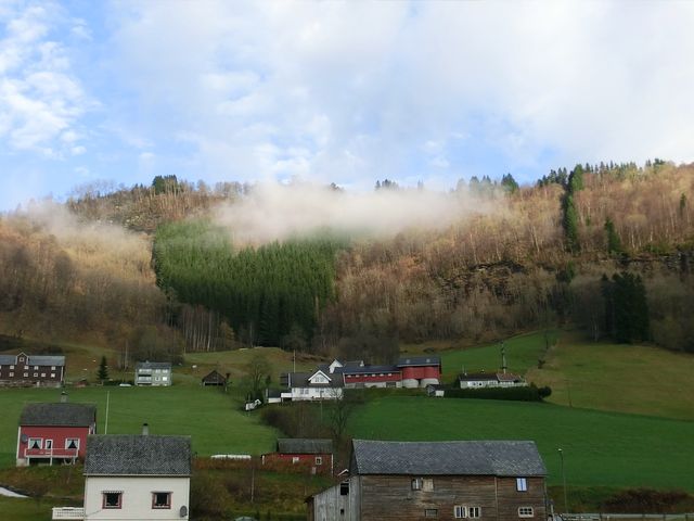 z_0a384cc7.jpg