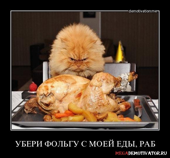 uberi-folgu-s-moej-edy-rab_1.jpg
