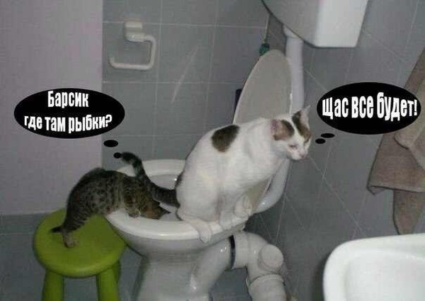 1вп.jpg