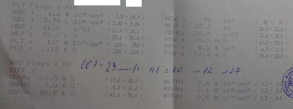 DSC08694.JPG