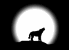 76309628.gif