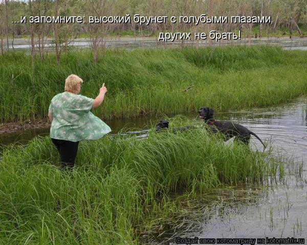 1351659114_k2ux0vachmov6hbi.jpg