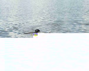 100_11.JPG