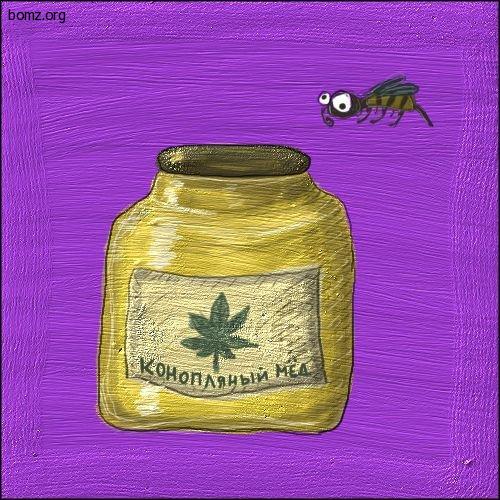 291406-2011.01.01-09.42.44-bomz.org-lol_konoplyaniyyi_mied.jpg