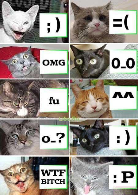 01.jpg