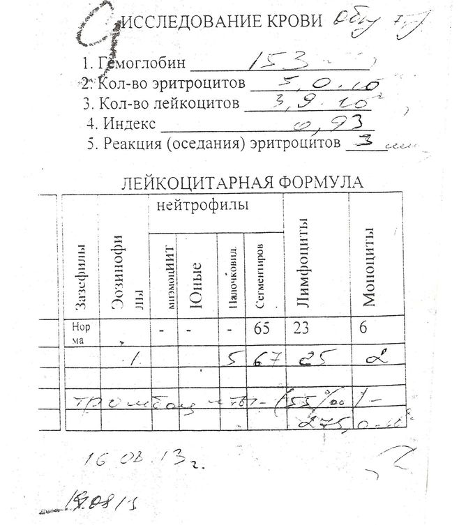 20082013.jpg