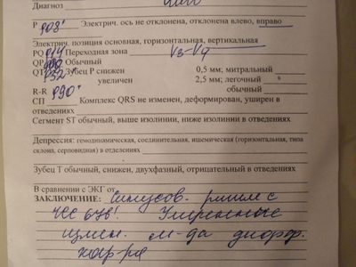 SDC12186.JPG