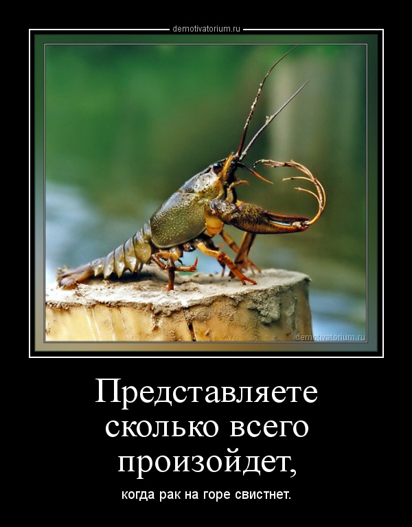 1002131512103381.jpg