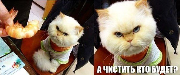 getImage.jpg