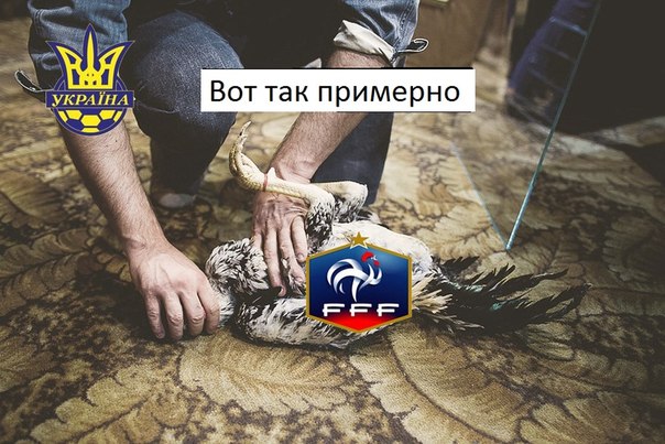 6X7IlZ8XBNc.jpg