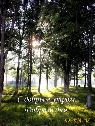 1246357663_dobryjj-fon.jpg