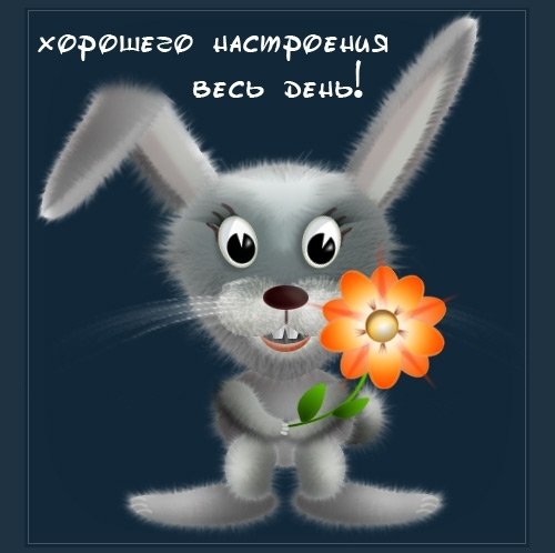 0903be4436d291368d64116cefe0746f.jpg