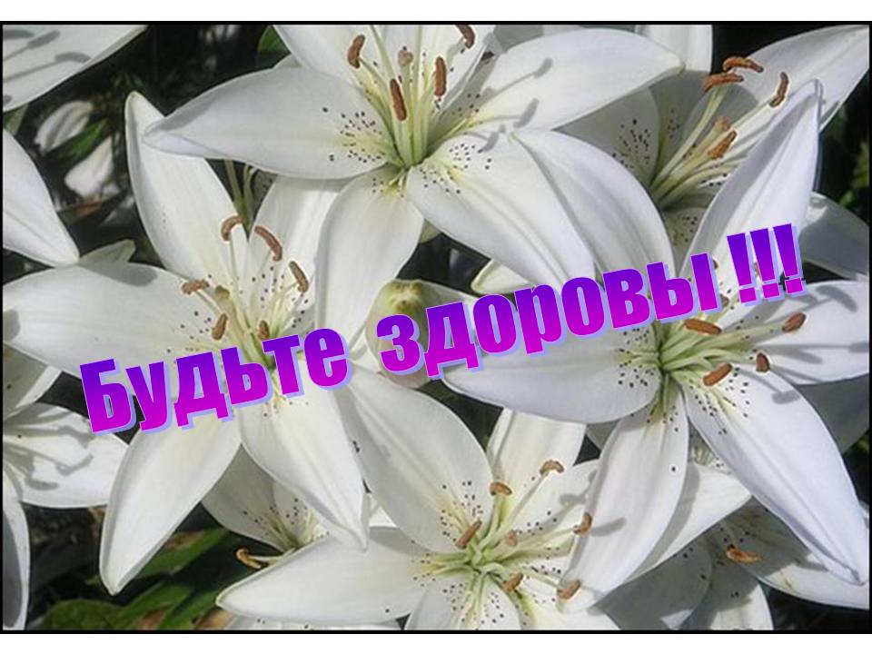 0013-013-Budte-zdorovy.jpg