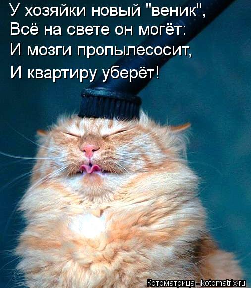 1385799232_mysli-vsluh-11.jpg