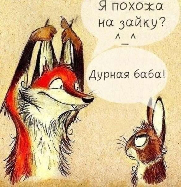 8F6sorSXjqg.jpg