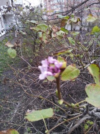 20131115_101819.jpg