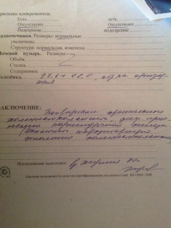 УЗИ стр. 2.JPG