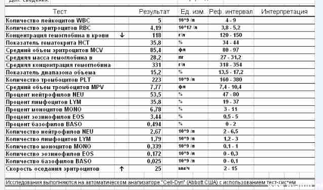 Лейкоциты wbc в крови повышены