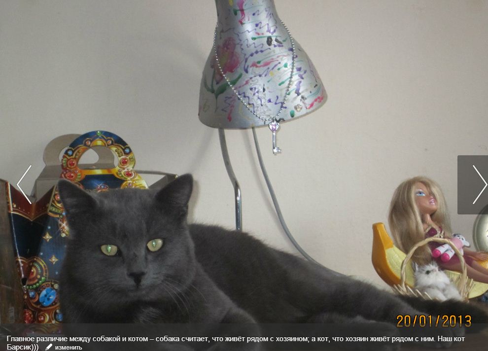 Котя.JPG