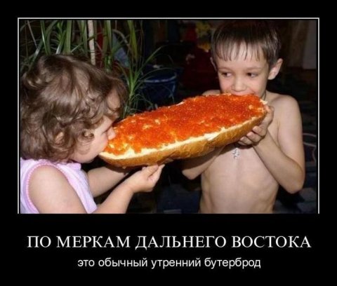 бутер.jpg