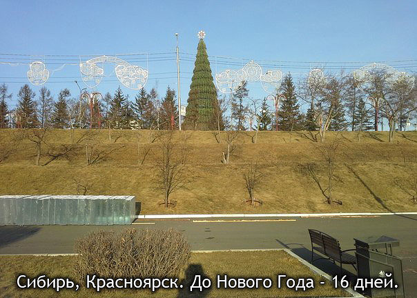 getImage (21).jpg