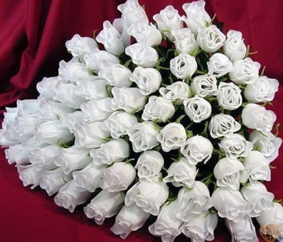 biser.info_12094482954c5883ee7a9eb_o.jpg