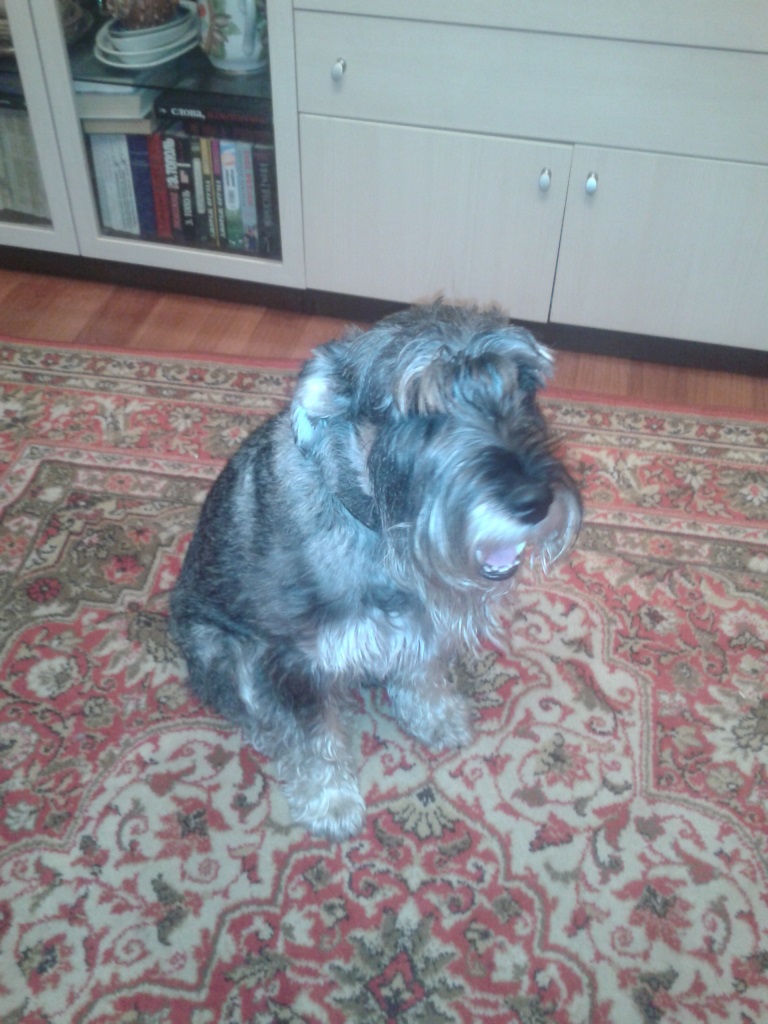 2013-12-21 20.20.52.jpg