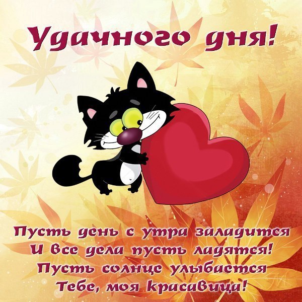orig_7a6739e5828885f9696cb5a27e20292f.jpg