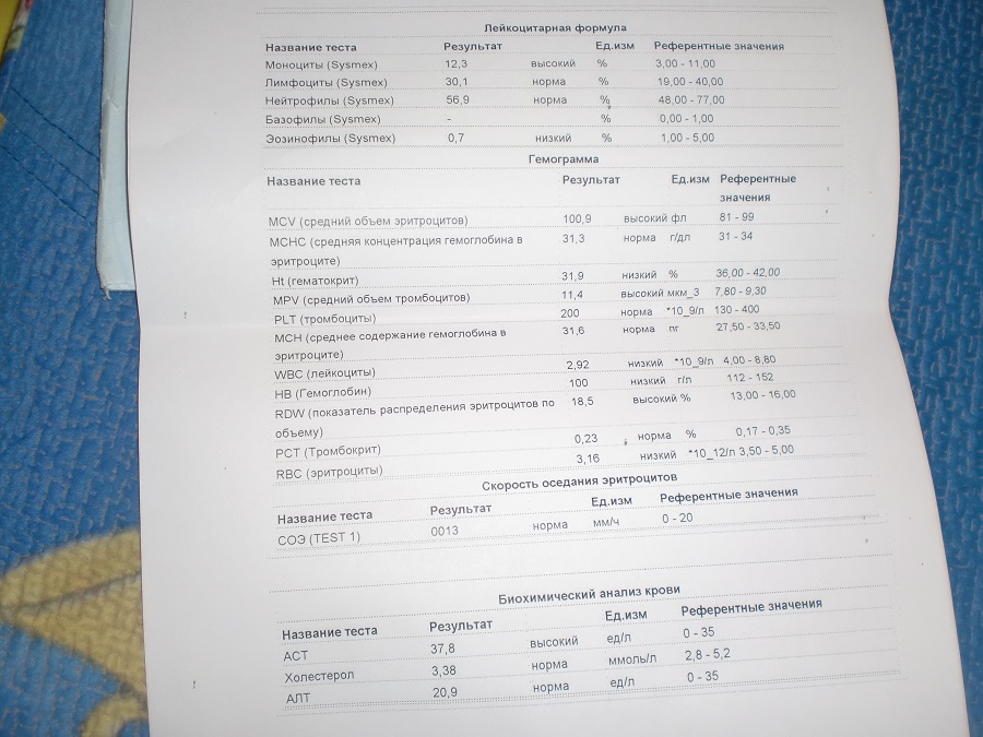 CIMG8074.JPG