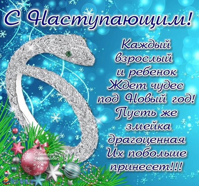Змейка.jpg
