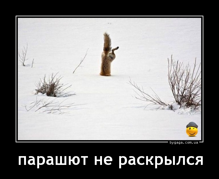 приземление.jpg