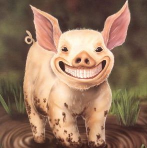 pig_77700 (1).jpg