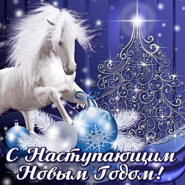 Kонь.jpg