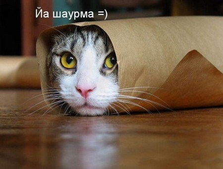 23564_original.jpg