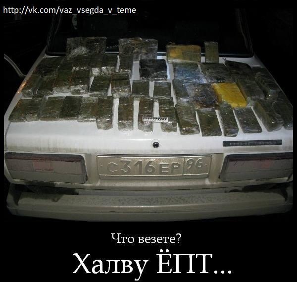 x_04f404f5.jpg