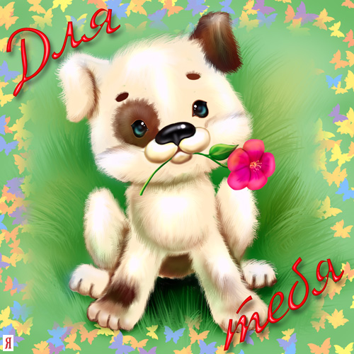 51668917ee8b038c30db81eb70b05affd17789.jpg