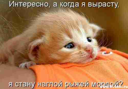 1257278287_s3img_55546277_1.jpg