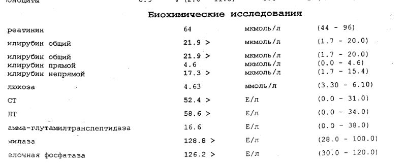 4.JPG